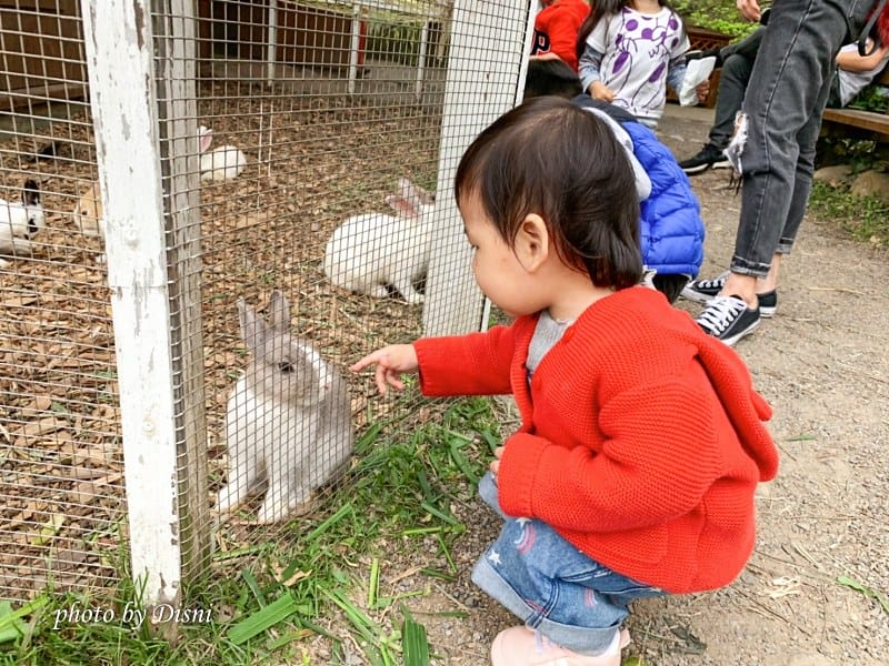【苗栗親子景點】飛牛牧場戶外踏青野餐好去處,園地很大且各種體驗活動很有趣 - 第41張圖 2-6 S__197287969