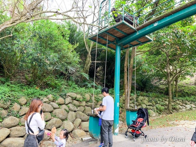 【苗栗親子景點】飛牛牧場戶外踏青野餐好去處,園地很大且各種體驗活動很有趣 - 第21張圖 1-5 S__197287956