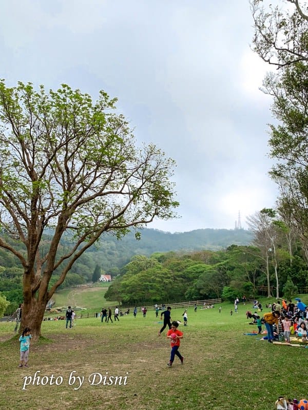 【苗栗親子景點】飛牛牧場戶外踏青野餐好去處,園地很大且各種體驗活動很有趣 - 第8張圖 1-3