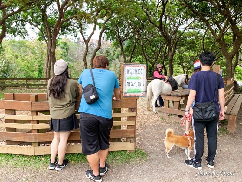 【苗栗親子景點】飛牛牧場戶外踏青野餐好去處,園地很大且各種體驗活動很有趣 - 第16張圖 1-5 S__197287951