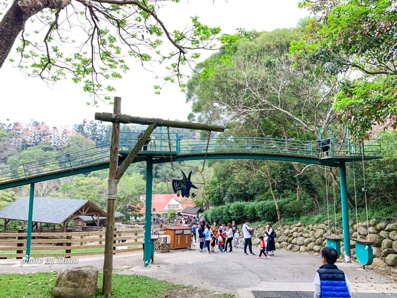 【苗栗親子景點】飛牛牧場戶外踏青野餐好去處,園地很大且各種體驗活動很有趣 - 第18張圖 1-5 S__197287953