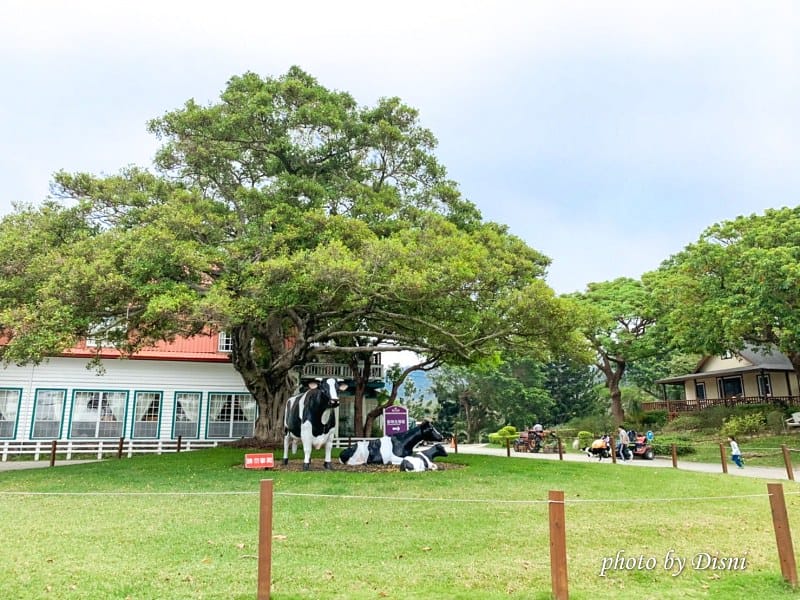 【苗栗親子景點】飛牛牧場戶外踏青野餐好去處,園地很大且各種體驗活動很有趣 - 第4張圖 1-1 S__197287940