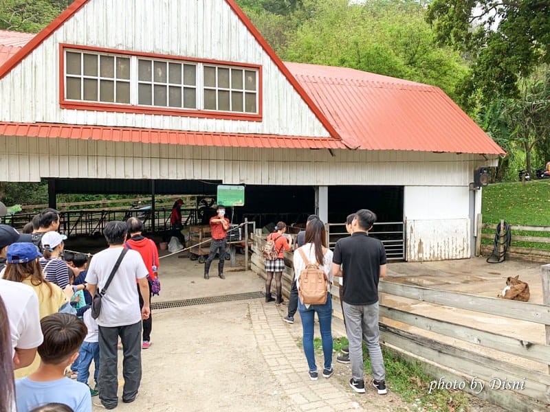 【苗栗親子景點】飛牛牧場戶外踏青野餐好去處,園地很大且各種體驗活動很有趣 - 第25張圖 1-7 S__197287962