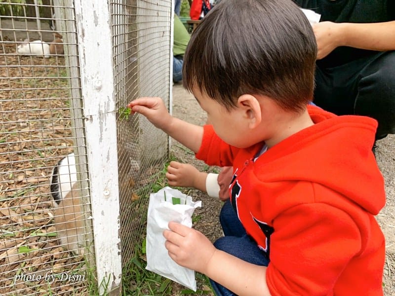 【苗栗親子景點】飛牛牧場戶外踏青野餐好去處,園地很大且各種體驗活動很有趣 - 第39張圖 2-6 S__197287967