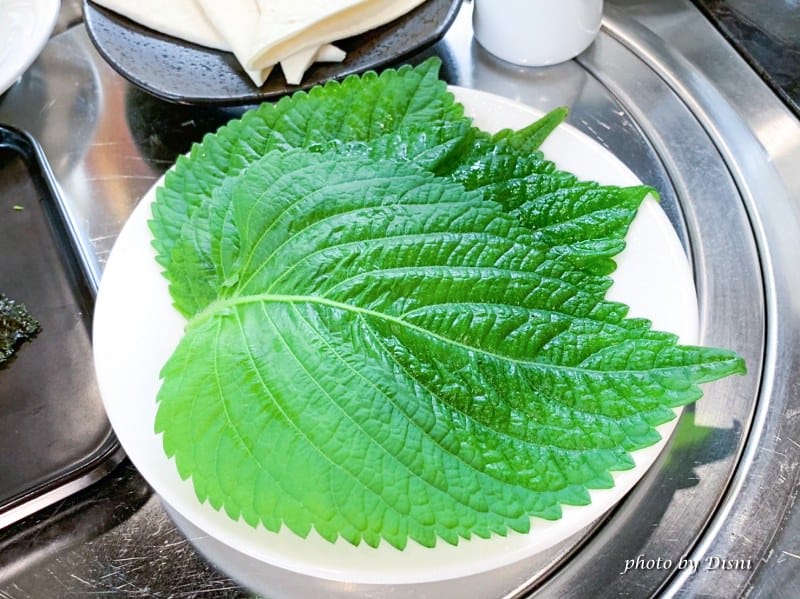 【台中西區美食】將進酒素燒烤殿台中素食餐廳推薦,少見素食燒肉/蔬食餐廳 頂級饗宴IG打卡/菜單 - 第23張圖 1-6 S__245702678_batch