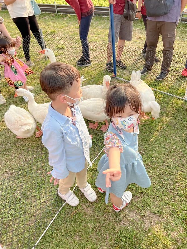 【雲林斗六景點】鵝童樂園免門票親子景點,餵鵝、溜滑梯、沙坑、旋轉天鵝、小火車遊樂設施IG打卡/菜單 - 第27張圖 S__39288866