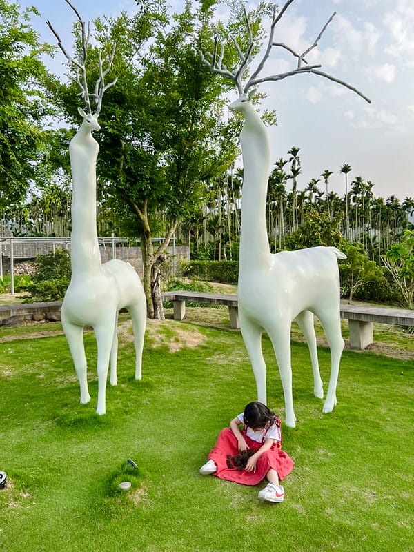 1-1 S__50012173