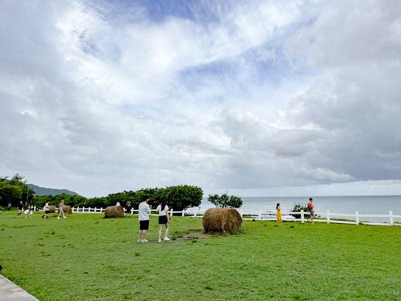 1-1 S__41894712
