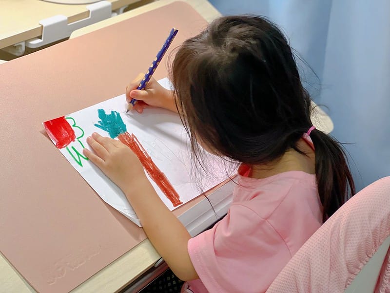 【幼童用品】成長天地 90公分兒童成長書桌 3-18歲升降桌椅組,超質感美型推薦另有旋轉書櫃 - 第15張圖 1-8 IMG_0467