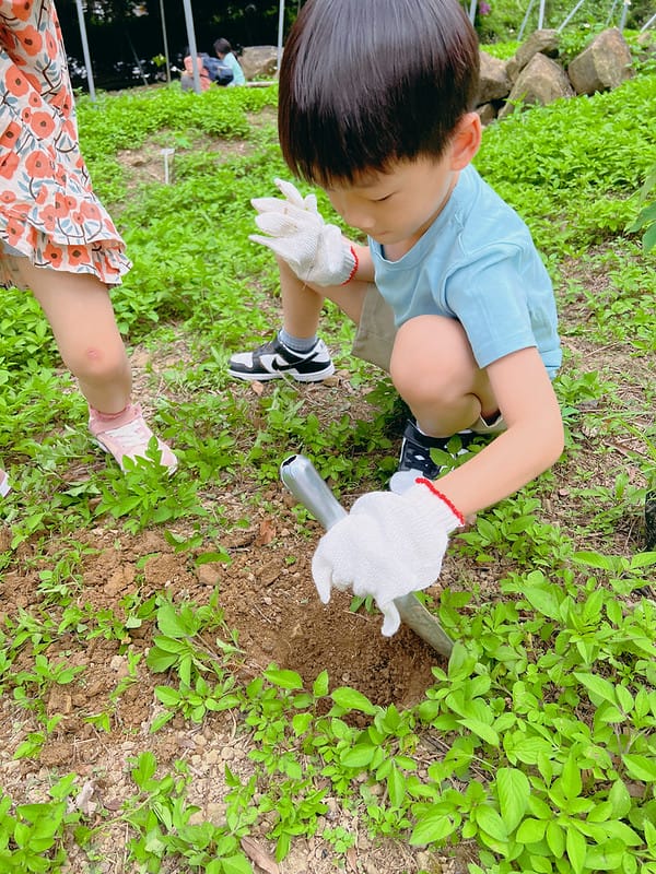 【苗栗南庄住宿】蘇維拉莊園超可愛蘑菇屋、天空列車、樹屋 豪華露營,恐龍溜滑梯、園區好拍好玩IG打卡 - 第30張圖 1-8 1-4 F_IMG_4401
