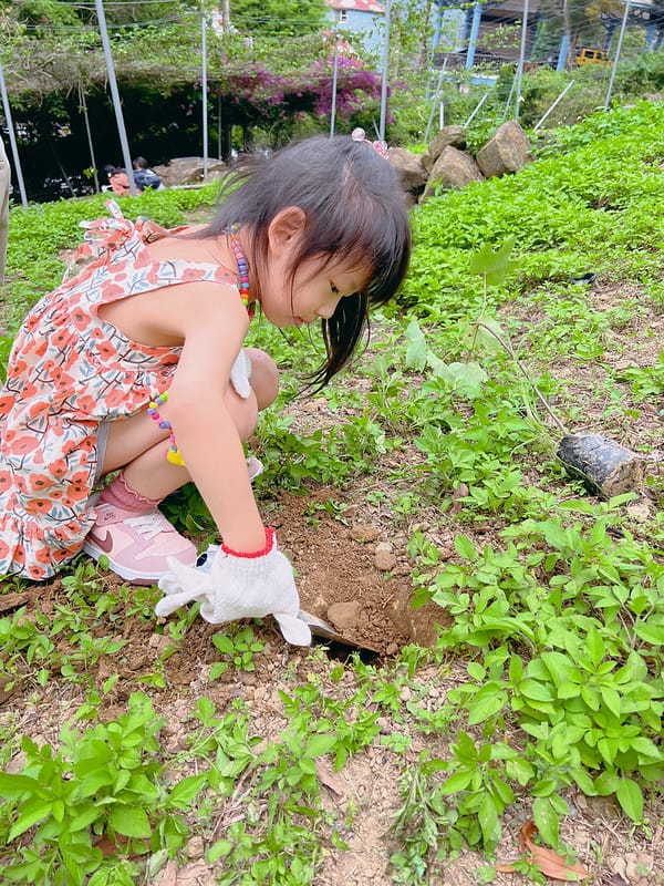 【苗栗南庄住宿】蘇維拉莊園超可愛蘑菇屋、天空列車、樹屋 豪華露營,恐龍溜滑梯、園區好拍好玩IG打卡 - 第31張圖 1-8 1-4 F_IMG_4410